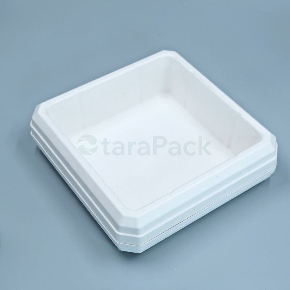 Bicolor Innovate Biodegradable Paper Pulp Box