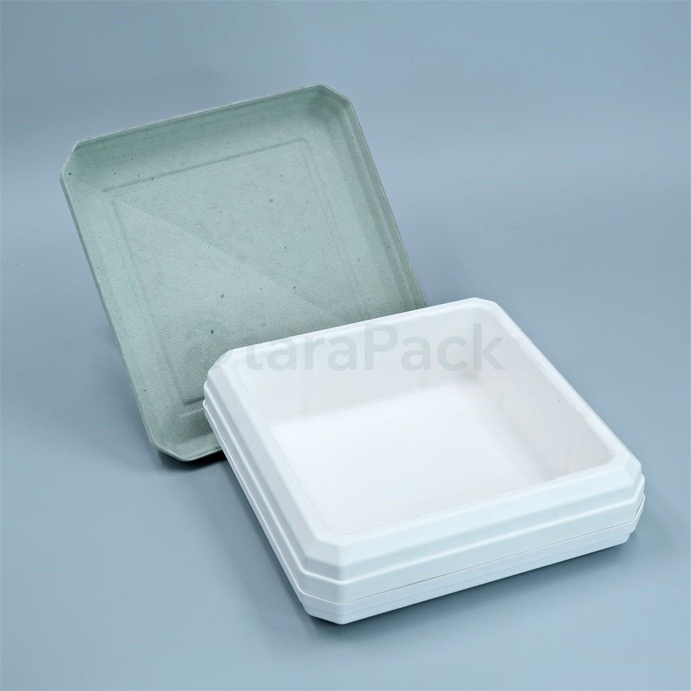 Bicolor Innovate Biodegradable Paper Pulp Box