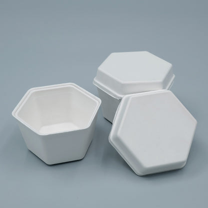 Biodegradable Sugarcane Molded Hexagonal Portable Tea Gift Set Packaging