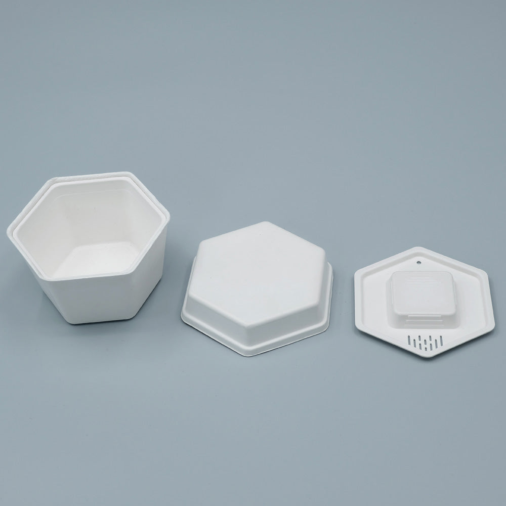 Biodegradable Sugarcane Molded Hexagonal Portable Tea Gift Set Packaging